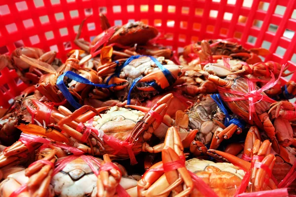 Caranguejos de lama fresca, caranguejo do mar com natural no fundo da cesta vermelha — Fotografia de Stock