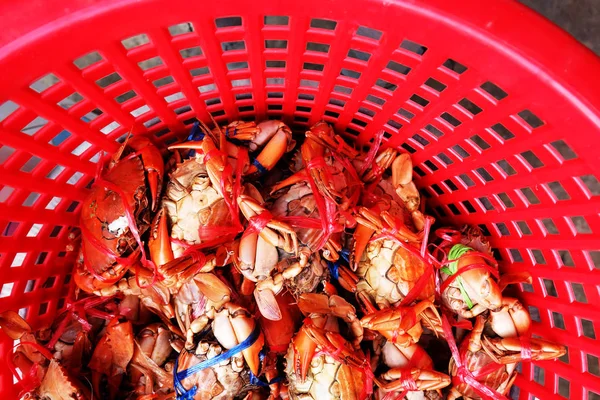 Бруд крабів, море краб у природних на тлі червоного кошик — стокове фото
