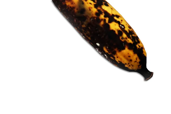 Rot banaan, close-up een Molder rotte bananen geïsoleerd op witte achtergrond — Stockfoto