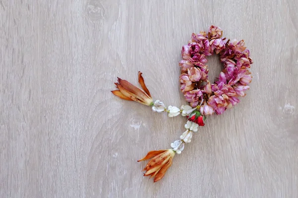 Kurutulmuş Yasemin Garland ahşap zemin zemin üzerine izole kapatmak