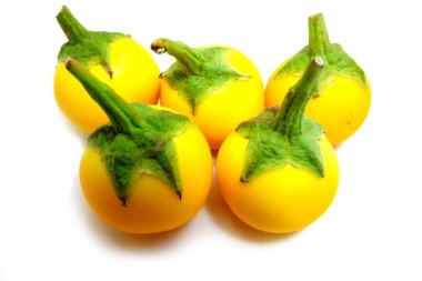 Taze patlıcan, beyaz arka planda sarı patlıcan Thai yakın