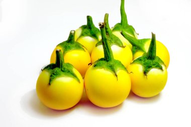 Taze patlıcan, beyaz arka planda sarı patlıcan Thai yakın