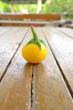 Tek sarı patlıcan. Ahşap masa arka plan sarı taze patlıcan Tay kadar kapatın