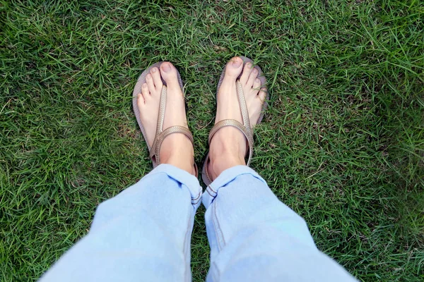 女人的腿和脚在水泥和绿草背景上穿金色凉鞋 — 图库照片