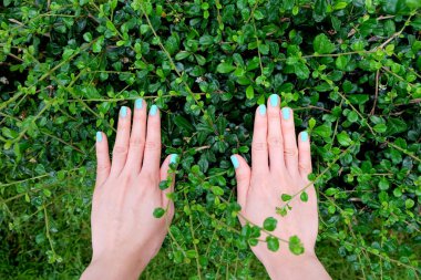 Yeşil manikür tırnak kapatın. Güzel kadın el ahşap zemin zemin üzerine Lehçe çivi