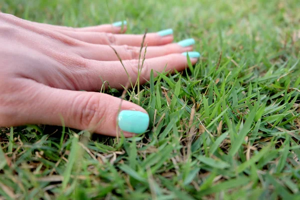 Close Up Green Manicure Nail. Beautiful Females Hand Nails Polish on the Wood Floor Background