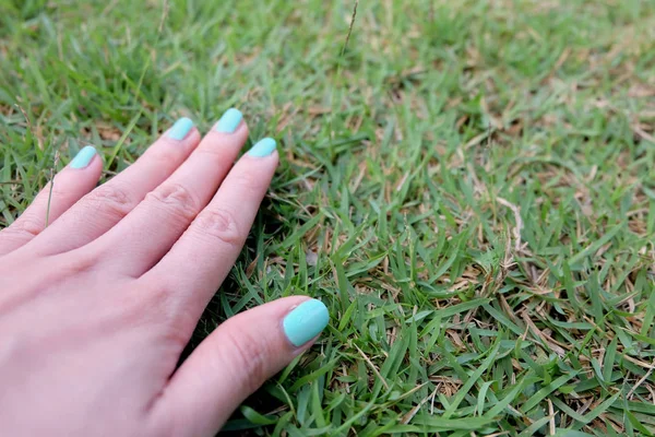 Close Up Green Manicure Nail. Beautiful Females Hand Nails Polish on the Wood Floor Background