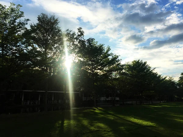 美しい青い空と夏屋外背景使用最適の木自然と雲 — ストック写真