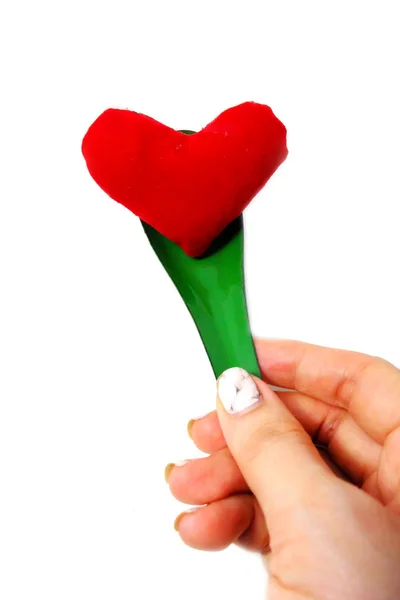 Main Femme Avec Tenant Une Cuillère Coeur Rouge Valentines Green — Photo