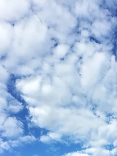 Ciel Bleu Été Avec Nuages Blancs Fond Paysage Nuageux Idéal — Photo