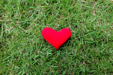 Sevgililer günü yeşil çim arka plan büyük üstünde herhangi bir kullanım için izole kırmızı kalpli.