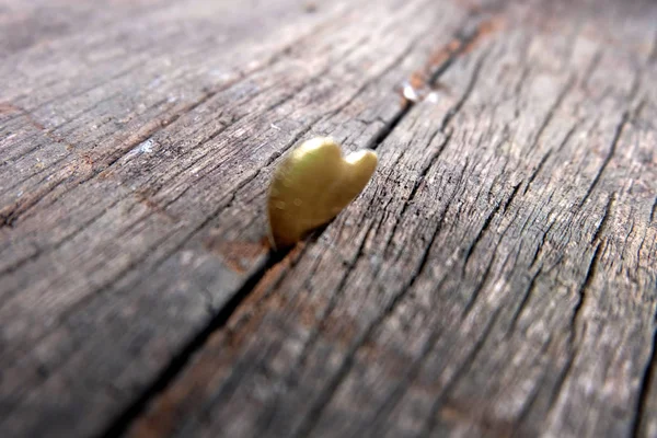 Guld Hjärta För Alla Hjärtans Dag Koncept Trä Bakgrund Stor — Stockfoto