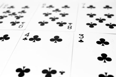 İskambil doku. İskambil beyaz arka plan büyük herhangi bir kullanım için üzerinde.