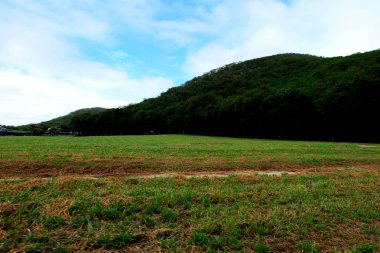 Yeşil orman. Güzel dağ manzara mavi gökyüzü ile herhangi bir kullanım için arka plan büyük bulutlar.