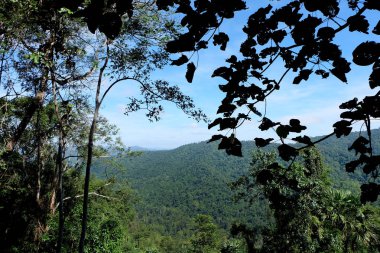 Yeşil orman. Güzel dağ manzara mavi gökyüzü ile herhangi bir kullanım için arka plan büyük bulutlar.