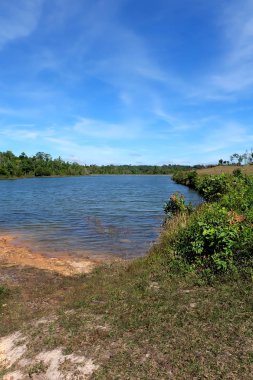 Nehir Ormanı. Mavi Gökyüzü Bulutları Arka Plan Büyük herhangi bir kullanım için güzel Dağ Nehri Manzara