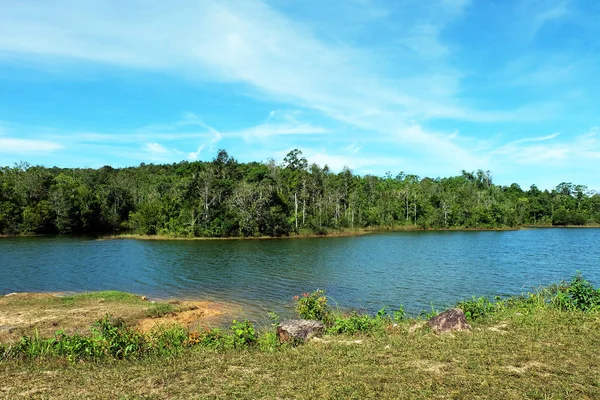 River Forest Bela Paisagem Mountain River Com Céu Azul Nuvens — Fotografia de Stock