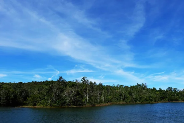 River Forest Beau Paysage Rivière Montagne Avec Ciel Bleu Nuages — Photo