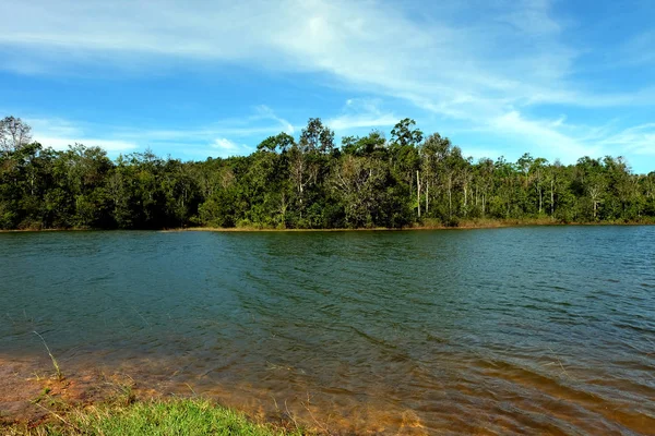 Foresta Fluviale Bellissimo Paesaggio Del Fiume Montagna Con Sfondo Nuvole — Foto Stock