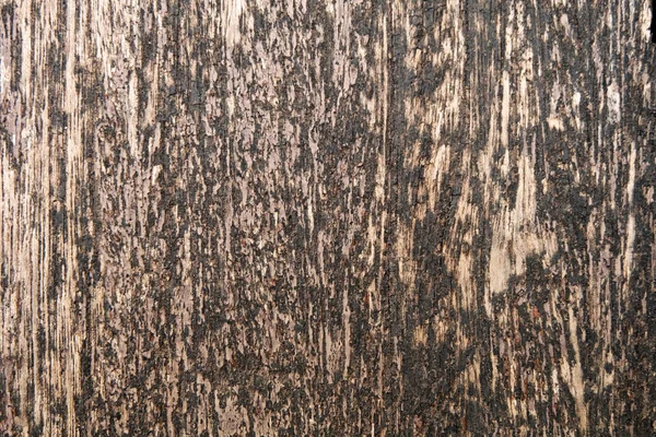 古い茶色の木のテクスチャ 任意の使用のためクローズ木製空背景自然大アップ — ストック写真