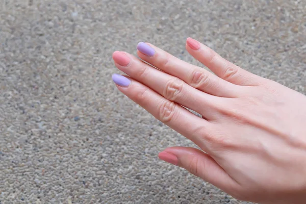 Nagellack Maniküre Schöne Frau Ist Hände Auf Rosa Und Violetten — Stockfoto