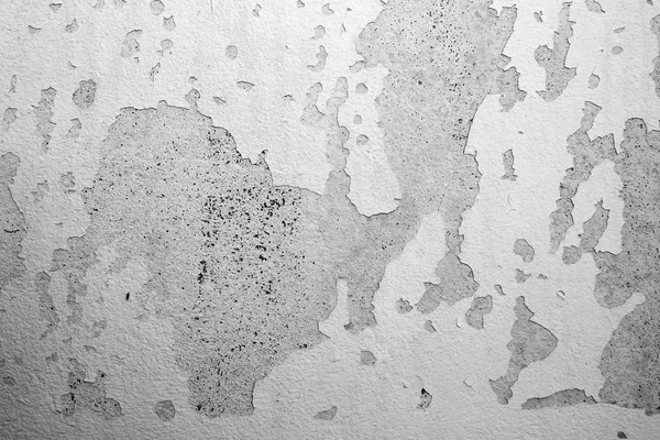 Cracked Concrete Texture. Abstract of Old Gray Cement Wall Background Great For Any Use.