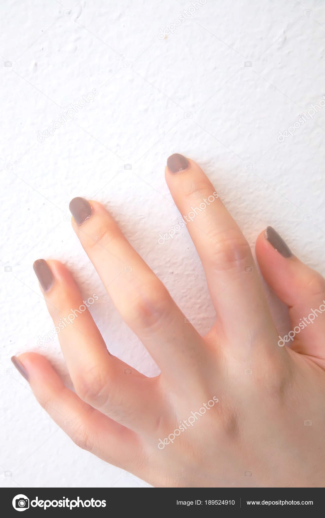 Beau Brun Peint Les Ongles Élégant Cosmétiques Femme Tendance Mains \u2014 Photo