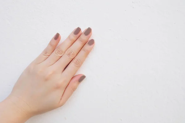 Prachtig Geschilderde Bruine Nagels Stijlvolle Cosmetica Trendy Vrouw Handen Manicure — Stockfoto