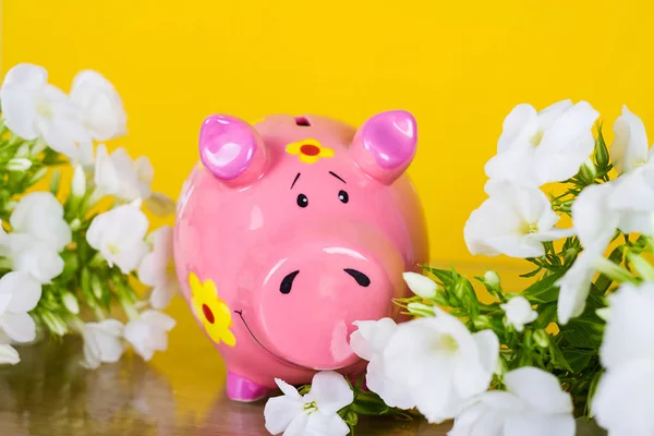 Piggy coin bank on yellow background with flowers