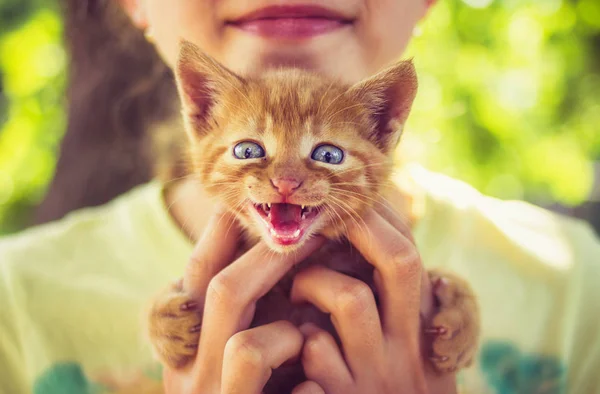 Smiling little girl holding small kitten in hands outdoor
