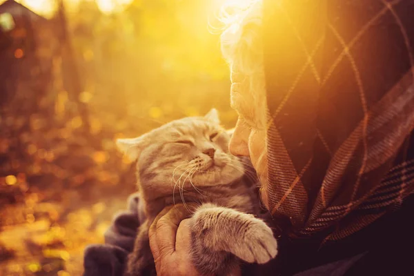 일몰 배경에 작은 고양이 들고 웃는 노인 여성. — 스톡 사진