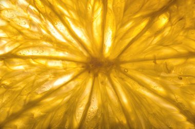 Beyaza izole edilmiş bir limon dilimi