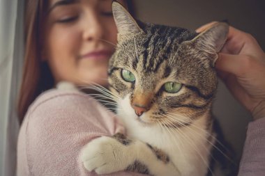 Care.Young kadın holding kedi ev evcil hayvan