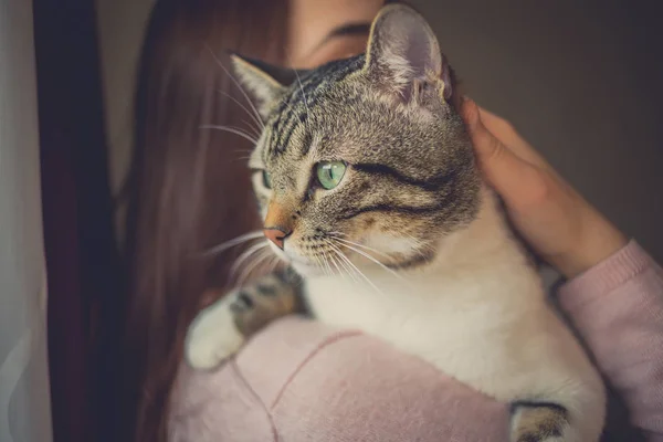 Genç kadın holding kedi ev