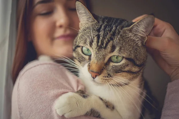 Pets Care.Young woman holding cat home