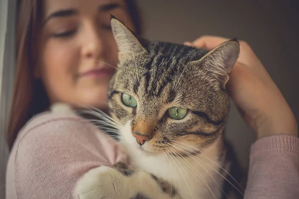 Care.Young 여자 들고 고양이 가정 애완 동물 — 스톡 사진