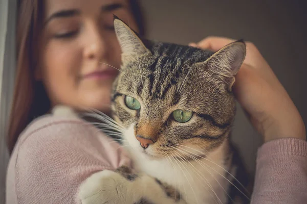 Care.Young kadın holding kedi ev evcil hayvan
