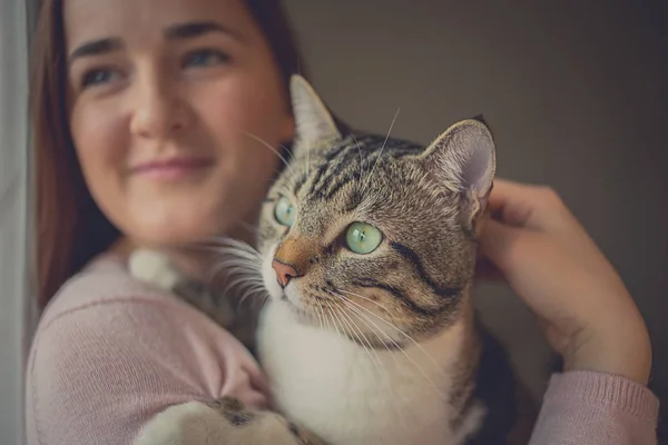 Care.Young 여자 들고 고양이 가정 애완 동물. — 스톡 사진
