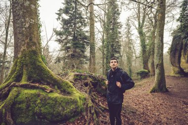 Ormanın yürüyüş