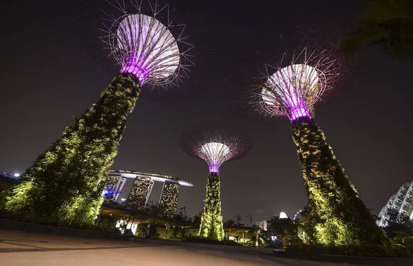 Singapore 15. Juni, der Superbaum in den Gärten an der Bucht am 15. Juni 2014 — Stockfoto