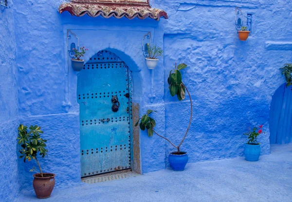 유명한 블루 시티 Chefchauen 모로코에서. 오래 된 건물 파란색 벽에 화려한 화분. 여행 목적지 개념. — 스톡 사진