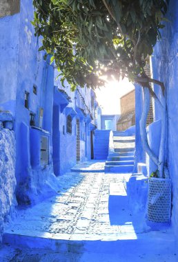 Mavi duvar ve merdiven ile renkli Çiçeklik dekore edilmiş.