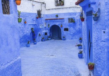 Mavi duvar ve merdiven ile renkli Çiçeklik dekore edilmiş.