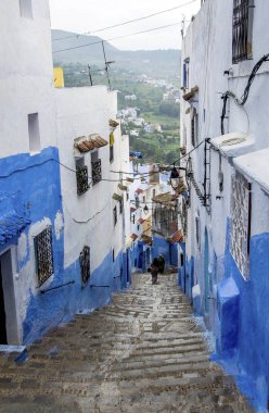 Mavi duvar ve merdiven ile renkli Çiçeklik dekore edilmiş.