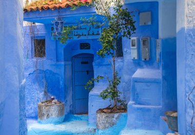 Mavi duvar ve merdiven ile renkli Çiçeklik dekore edilmiş.