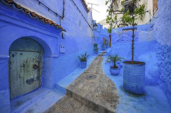 Pared azul y escalera decoradas con macetas de colores . — Foto de Stock