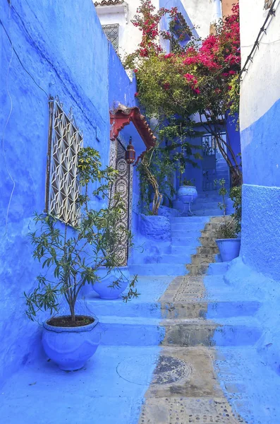 Mavi duvar ve merdiven ile renkli Çiçeklik dekore edilmiş.