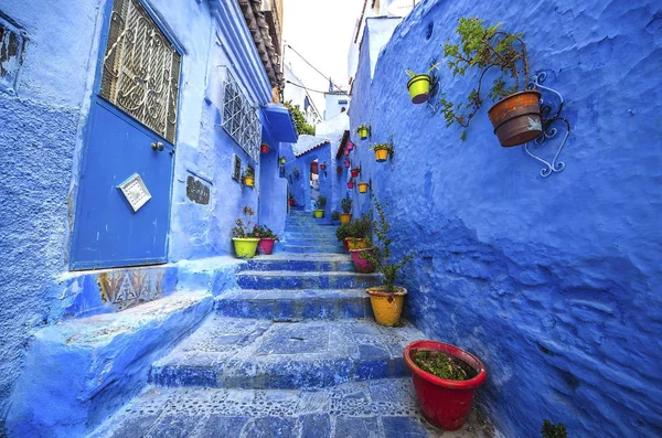 Niebieską ścianą i schody ozdobione kolorowymi doniczki. — Zdjęcie stockowe