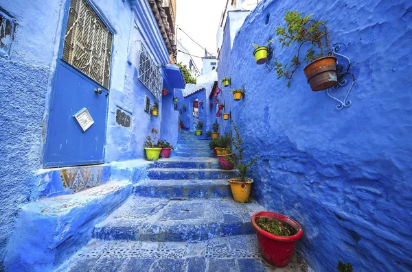 Pared azul y escalera decoradas con macetas de colores . — Foto de Stock