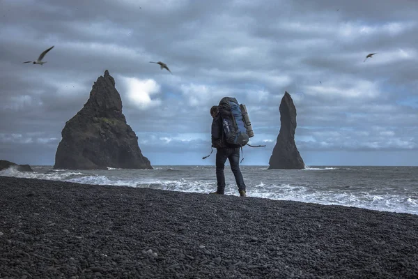 Turista con mochila caminando por la playa de arena negra, Vik en Islandia — Foto de Stock